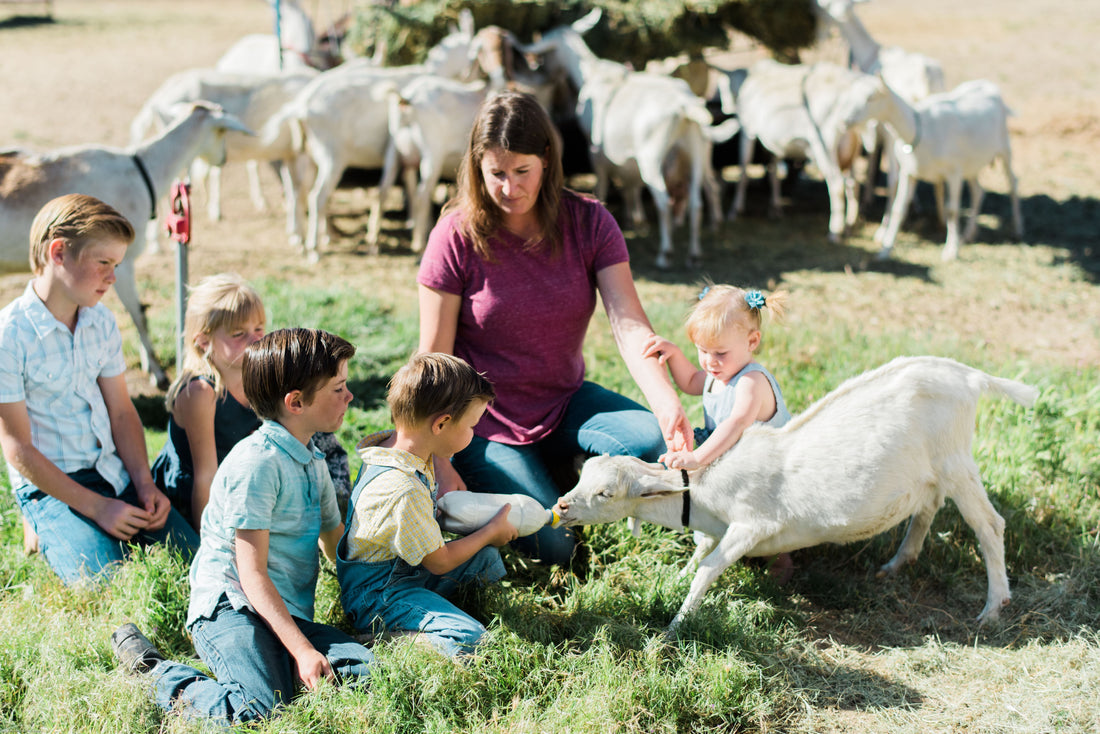 Show and Tell at Crystal Peaks Youth Ranch